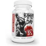 5% Nutrition Bigger By The Day 120 Capsule