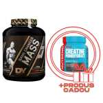 DY NUTRITION Mass Gainer Game Changer Mass 3Kg Banane Capsuni